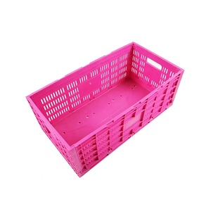 Thùng Đựng Trứng Nhựa Có Thể Gấp Gọn - Product Image 5