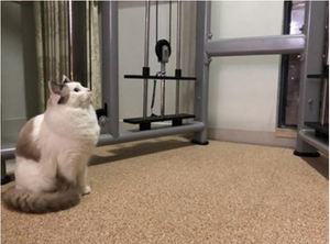 Baldosas de goma para suelo elástico antideslizante gimnasio - Product Image 5