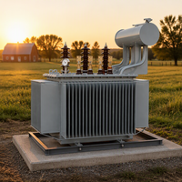 Transformateur de puissance immergé dans l'huile triphasé S20 400 kVA à trois enroulements 50 Hz 60 Hz pour distribution et usage agricole