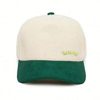 Gorras Trucker Vintage de Dos Tonos para Hombre y Mujer, de Pana, Modernas, con Bordado Personalizado, Etiqueta con Logotipo, Gorra de Béisbol con Cierre a Presión, Regalos Promocionales