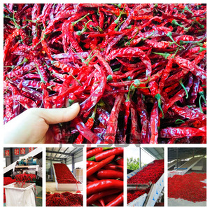 Hàng loạt Rau khô phòng rau gia vị máy sấy Ớt Ớt Bột Ớt Vòng mất nước thiết bị - Product Image 6