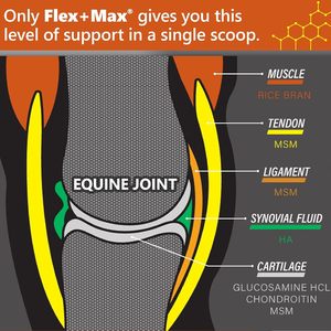ISO9001 Certified Flex+Max <strong>Horse</strong> Joint Supplement Pellets,Comprehensive Equine Formula with <strong>Glucosamine</strong>,MSM,Chondroitin&amp;Flaxseed - Product Image 2