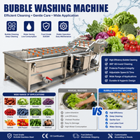Ligne de production commerciale de nettoyage et de dénoyautage de dattes par lavage à bulles d'air et ozonisation