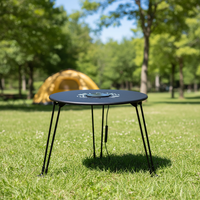 Table pliante compacte en fer pour l'extérieur – Solution polyvalente et peu encombrante pour le camping, les pique-niques et la détente en plein air