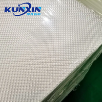 Diffuseur prismatique anti-éblouissement en polycarbonate pour éclairage linéaire LED par coextrusion Kunxin