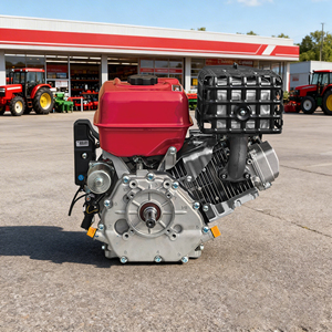 Motore a <span class=keywords><strong>Benzina</strong></span> 550cc a 4 Tempi per Impieghi Gravosi con Serbatoio da 6,5L per Applicazioni Marine e Imbarcazioni da Pesca - Product Image 4