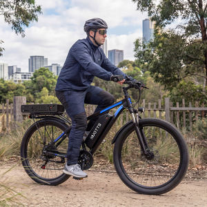 Vélo de ville pour adulte C29-K, cadre en alliage d'aluminium, moteur sans balais, double batterie au lithium, autonomie de 150 km - Product Image 1