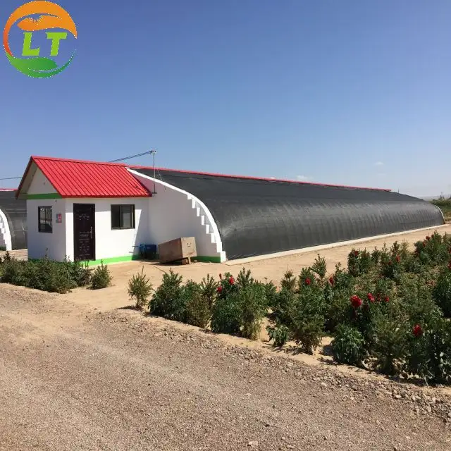 Montage Solar Gewächshaus Hohe Qualität für Gemüse blumen und Tomaten