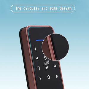 Cerradura de Puerta Digital Moderna YOUHE con Sensor de Huella Dactilar, Tarjeta y Contraseña para el Hogar, Cerradura Inteligente Tuya - Product Image 2