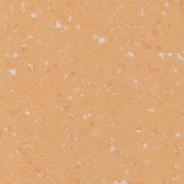 Lear-DS-6505 Holly