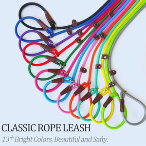 Quality Heavy Colors Optional Adjustable <b>Dog</b> Collar Nylon Duty <b>Dog</b> slip Rope <b>Leash</b> - Product Image 4