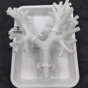 Nuevo Modelo Blanco Rígido de Cuarto Nivel para Enseñanza y Entrenamiento Médico en Broncoscopia, Árbol Bronquial - Product Image 2