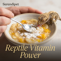 Reptielen Vitamine Supplement Multivitamine & Mineralen Poeder Met/zonder Vitamine D3 voor alle Reptielen, Hagedissen, Gekko's & Schildpadden