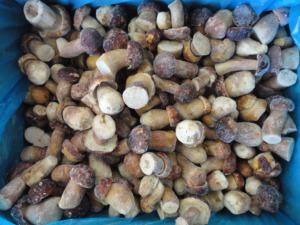 Sinocharm, precio de fábrica, marcas OEM, Wild Porcini, IQF, Frozen, <span class=keywords><strong>Boletus</strong></span> <span class=keywords><strong>Edulis</strong></span> - Product Image 4