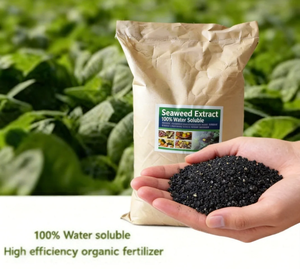 Engrais de haute qualité 100% soluble dans l'eau, extrait d'algues en poudre, engrais organique, extrait végétal, fournisseur direct du fabricant - Product Image 4
