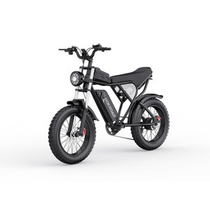 Vélo électrique longue portée L20 en stock UE, 48V 20Ah, 80Nm de couple, frein à disque hydraulique, Shimano 7 vitesses, E-Bike tout-terrain à pneus larges - Product Image 1