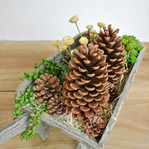 Wood DIY Dried Flower Materials Home <strong>Christmas</strong> Decor 15cm American Pine Cones Window <strong>Decoration</strong> Ornaments - Product Image 5