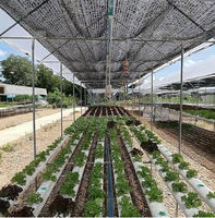 Filet d'ombrage agricole en HDPE noir, taux d'ombrage 35%-95%, résistant aux UV, toile d'ombrage pour serre, culture de légumes, ferme, taille personnalisée