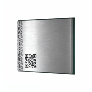 C42GM-M16GNN Distributeur agréé de modules émetteurs-récepteurs RF et de modems - Product Image 1