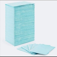 Baberos Dentales Desechables de 13*18 Pulgadas - Paños Absorbentes e Impermeables para Cuidado Bucal en Salones y Uso Doméstico, Limpieza Bucal Multiusos