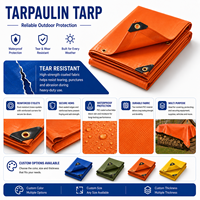 Bâche Coréenne Ripstop Renforcée à Œillets, Imperméable, en Toile de Polyéthylène pour Abri Agricole