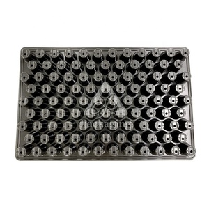 Hot Bán Nhựa 104 Lỗ Nhựa Hạt Giống Tế Bào Khay Cho Dưa Hấu Thái Lan - Product Image 4