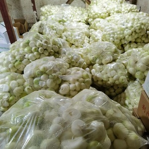 Tươi bóc vỏ hành tây từ Trung Quốc nhà máy với chất lượng cao giá thấp bóc vỏ vàng hành tây đỏ - Product Image 4