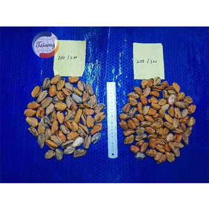 Cá Vỏ Sò Sống Đông Lạnh Không Vỏ Sò Thịt Trai Xanh - Product Image 3