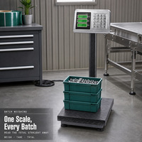 Timbangan Digital Bench Platform 60kg dengan Layar LED untuk Logistik Pengiriman Paket Gudang