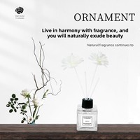 Diffuseur à bâtonnets en verre 50 ml, écologique, sans alcool, parfum longue durée 1 mois, décoration d'intérieur luxueuse, cadeau DIY, fait main
