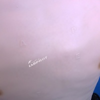 Simulateur d'auscultation cardiopulmonaire de poitrine, enseignement des examens physiques, mannequin d'enseignement des sons du cœur et des poumons