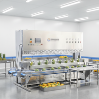 FXP-MG-8 Volledig Automatische Papaya Mango Sapmachine 220V Motor Fruit Snijder