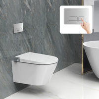 Réservoir d'eau chromé électrolytique de haute qualité Matériau ABS chromé Panneau de boutons à double chasse pour toilettes