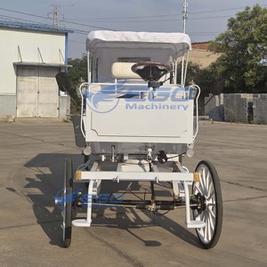 Charrette Électrique de Luxe Purement Blanche pour Visites Touristiques, Carrosse Royal Princesse, Carrosse de Mariage, Chariot à Chevaux - Product Image 4