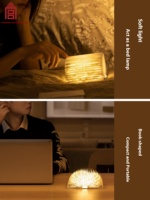 Lampe de livre moderne et écologique, Cité interdite, Taobao, Douze dieux des fleurs, Musée, Veilleuse, Cadeau pour la fête des enseignants, Anniversaire, Batterie