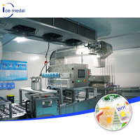 Ligne de production de glace en cubes automatique de 20 tonnes avec conception modulaire, solution tout-en-un pour usine de glace comestible, Maquina De Hielo