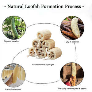 100% spons <span class=keywords><strong>Loofah</strong></span> dapur alami Biodegradable spons <span class=keywords><strong>Loofah</strong></span> dapat digunakan kembali untuk pembersih piring atau Eksfoliasi - Product Image 5