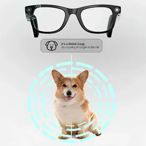 时尚潮流智能AI眼镜E02 - 20MP高清摄像头、蓝牙通话、触摸控制 - 男士女士批发OEM/ODM B2B - Product Image 1