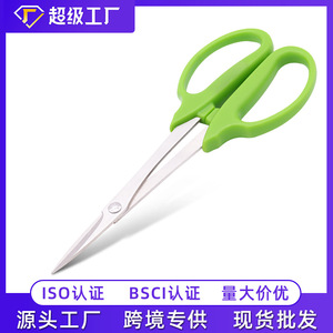 Jolies cisailles de taille en acier inoxydable vertes pour la taille des fleurs - Product Image 5