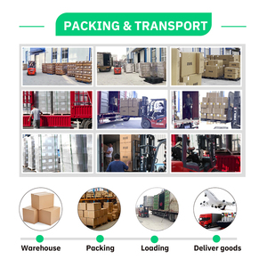 Capsules de complément alimentaire à base de plantes naturelles fabriquées en Chine pour la santé et le bien-être avec des ingrédients botaniques puissants - Product Image 5