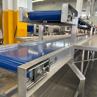 Voedselveilige transportband geschikt voor het transport van vlees, vis en aquatische producten voor visverwerkingslijnen