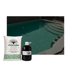 Acabado Decorativo de Superficie para Piscina con Espejo de Agua en Patio Interior, Revestimiento de Yeso Chukum de Lujo para Residencias Premium - Product Image 1