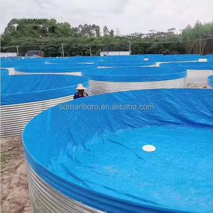 Bassin d'élevage commercial de tilapias, structure en acier galvanisé, revêtement en PVC, bassin rond pour aquaculture intensive en recirculation (<span class=keywords><strong>RAS</strong></span>) - Product Image 4