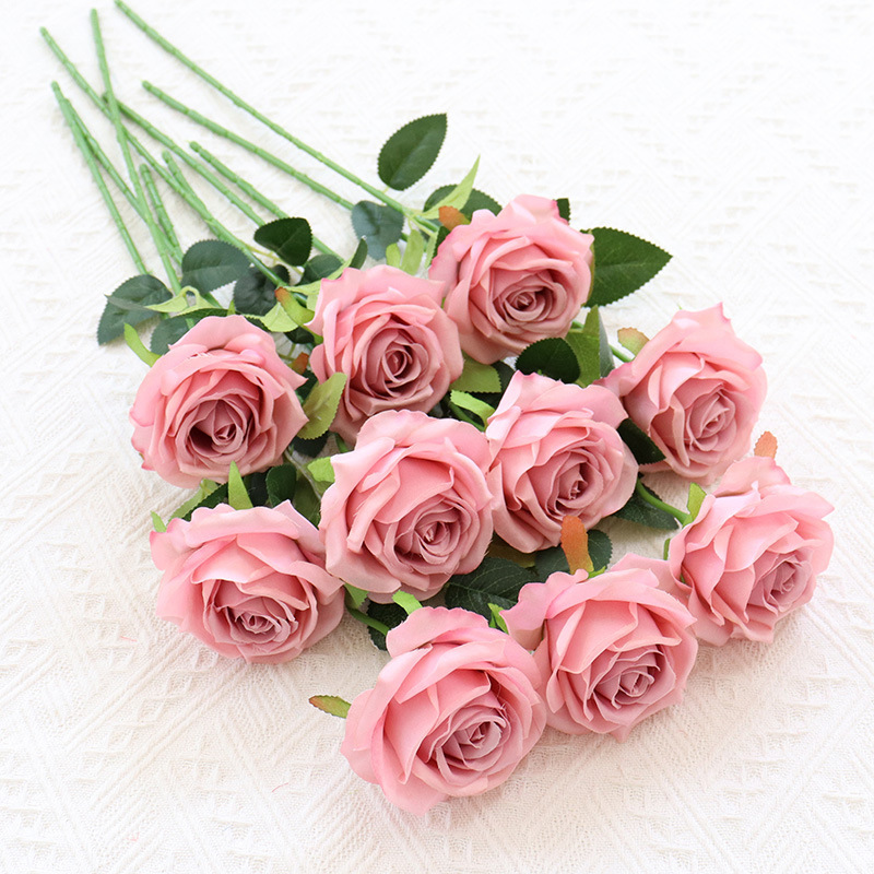 Blush rosa