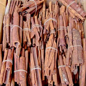Suministro al por Mayor de Varillas de Canela India Cruda Seca 100% Natural de Gujarat para Aplicaciones Comerciales en la Industria Alimentaria a Nivel Mundial - Product Image 1
