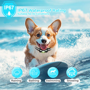 <span class=keywords><strong>Collar</strong></span> de entrenamiento para perros mejorado 2025 con luz intermitente remota para caminar de noche <span class=keywords><strong>Collar</strong></span> de choque para perros Beep Vibration <span class=keywords><strong>Shock</strong></span> - Product Image 4