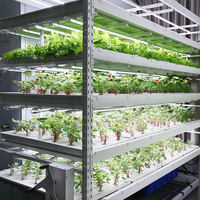 Usine de culture intérieure de grandes conteneurs à climatisation automatique pour légumes-feuilles, avec prix abordable et utilisation facile