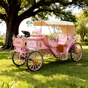 Classic Electric 4-Wheel <b>Passenger</b> Carriage for Tourism & Business Use 4-6 People Capacity <b>2</b> Year Warranty - Product Image 1