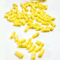 Suppléments de santé 100% Capsules d'extrait pur HCA Garcinia Cambogia