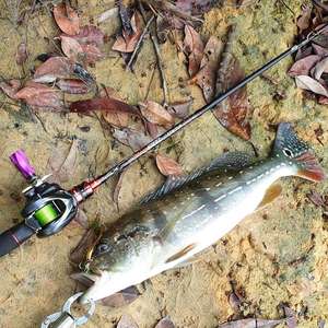 LUSHAZER Esca Artificiale a Cucchiaino in Rame Esca Rigida 19.5g Paillettes Metalliche <span class=keywords><strong>per</strong></span> Pesca alla Carpa <span class=keywords><strong>Trota</strong></span> e Persico - Product Image 2